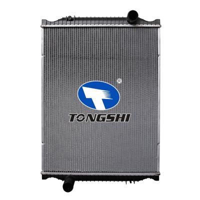 適用于MIDLUM 270.12/C 6.1L 00-01 MT散熱器