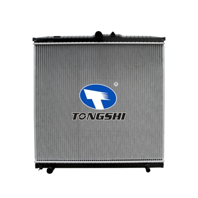 適用于RANGER(TKE)2.2/3.2?TDCI?11-?MT散熱器
