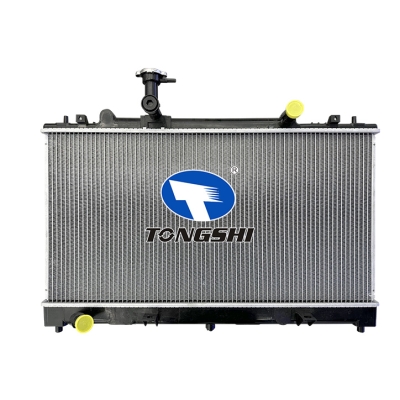 適用于M 6 (GG/GY) 2.0 DI 02- MT散熱器